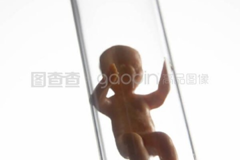 http://nanning.nbgk120.com/post/209.html|南宁捐卵费用