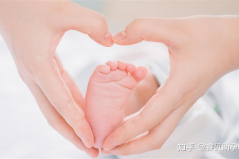 夏天南宁捐卵宝宝发烧 莫要急